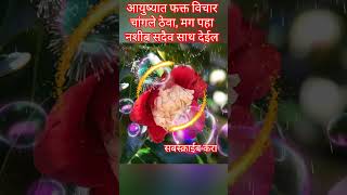 shree swami samarth 391 #ytshortsindia #shortvideo #viralshorts #akkalkotswamisamarthmaharajkijai