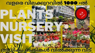 Plants Nursery Visit | വളരെ വിലക്കുറവിൽ 1000 -ൽ അധികം ചെടികൾ വിൽക്കുന്ന വീട്