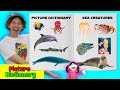 Sea Creatures | Picture Dictionary Song | Dream English Kids