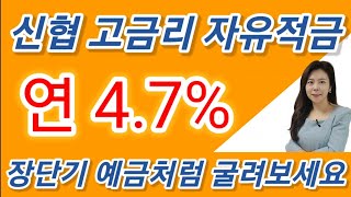 (마감)신협 고금리 자유적금을 정기예금처럼 굴려보세요 6개월과 12개월 동일한 고금리 가입가능!