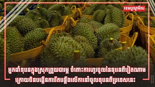 អ្នកដាំទុរេនក្នុងស្រុកព្រួយបារម្ភ ចំពោះការហូរចូលនៃទុរេនពីវៀតណាម