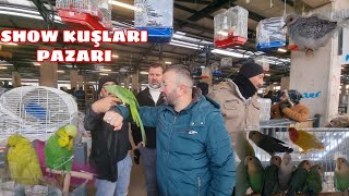 BURSA KUŞ PAZARI EGZOTİK HAYVANLAR BÖLÜMÜ  KANARYA MUHABBET PAPAĞAN BÜLBÜL VS