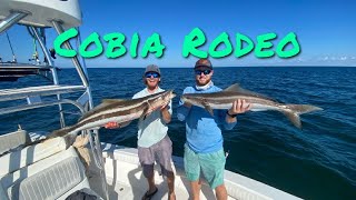 Guides Day Off Episode 1: Cobia Rodeo