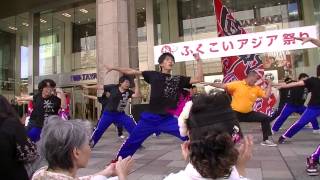 立花高校よさこい部 in ふくこいアジア祭り-3　2013-10-13