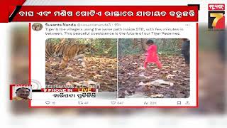 Girl is walking on tiger path in Similipal | ବାଘ ରାସ୍ତାରେ ଚାଲୁଛି ମଣିଷ, ଶିମିଳିପାଳ ଅଭୟାରଣ୍ୟର ଦୃଶ୍ୟ