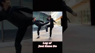That's how the Jeet Kune Do leg works. #kungfu