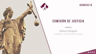 Comisión de Justicia (20/02/2020)