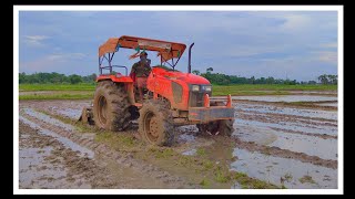 Kubota Tractor 4wd Mud 7 feet Saktiman Raotavator Performance || Kubota Mu 5502 4×4