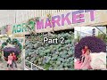 Agro Market Cameron Highlands Part 2. Tempat Wajib Singgah bila bercuti di Cameron Highlands!