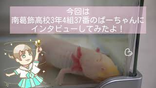 0136【ぱーちゃんに聞いてみた！】都立南葛飾高等学校