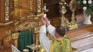 Live Stream - Sunday Mass - 5th Sunday in Ordinary Time - (2002 Missal) Feb. 9th