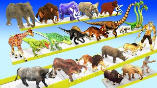 Animals vs Dinosaurs vs Brachiosaurus Hydra Speed Race Run Zigzag Down Course! Super Animal Battle