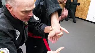 Practical hapkido two hand two wrist from behind