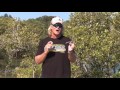 jackson lures blank shot introduction