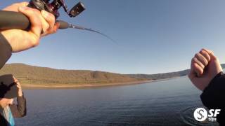 Casting Soft Plastics for Big Murray Cod