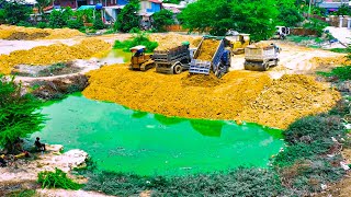 Collaboration Amazing between Dozer KOMATSU D31p And Dump Trucks 5 ton To pour soil Enter the pond