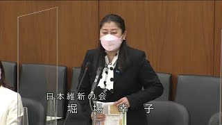 衆議院 2022年12月07日 消費者問題特別委員会 #17 堀場幸子（日本維新の会）