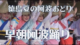 早く踊りたくてうずうず「阿波おどり振興協会」2017徳島夏の阿波おどり（2020.8.11）