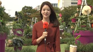 [날씨] 가을 정취 물씬…하늘 쾌청, 따스한 볕 / 연합뉴스TV (YonhapnewsTV)