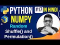 NumPy Random Permutation & Shuffling || shuffle() and permutation() || Python Numpy Tutorial #17