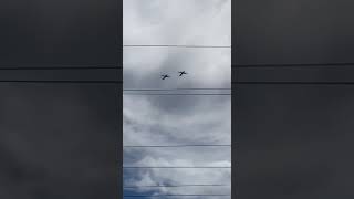 Пара самолетов Ил-38Н пролетит над Магаданом 9 мая в честь юбилея Дня Победы