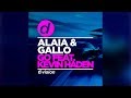 Alaia & Gallo feat. Kevin Haden - Go [Official]