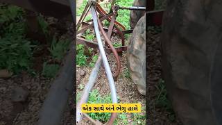 માંડવી 🍀માં વખીડા ભેગું DAP વવાતું  જાય #gujrativlogs #gujarati #farming