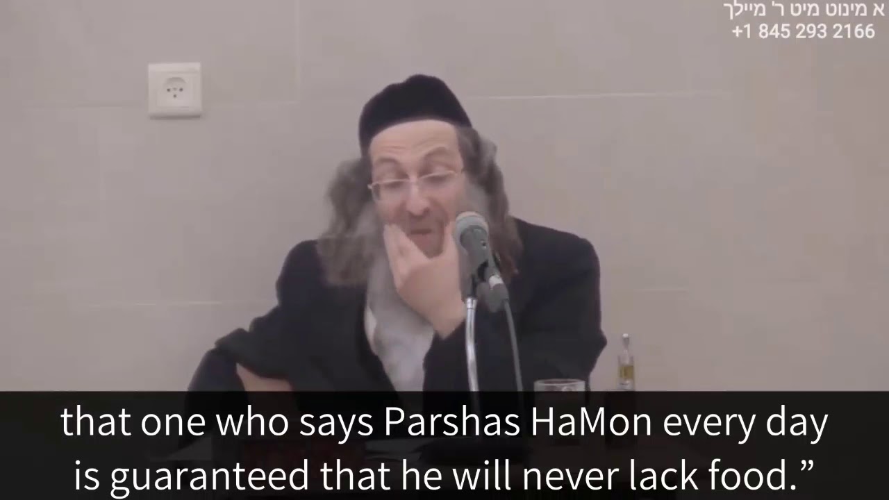 Parshas Hamon - Rabbi Elimelech Biderman - YouTube