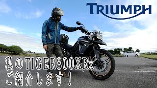 トライアンフ TIGER800XRx　納車レビュー