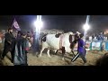 Cattle  in karachi |fibbi Cattle farm karachi Day|Bakara Eid Special | Qurbani