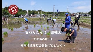 百ねんたんぼの田植え2023年5月3日）