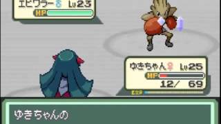 【改造ポケモン】ベガ実況プレイ　新境地の旅へ...part4