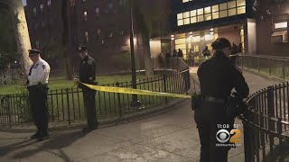 Bronx Father Fatally Shot, 5-Year-Old Wounded