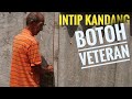 INTIP ISI KANDANG BOTOH VETERAN