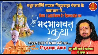 Live | Shrimad Bhagwat Katha | Shri Rajnishanand Ji Maharaj Gidderbaha Punjab , 4.12.2022-- Day - 4