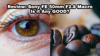 Review: Sony FE 50mm F2.8 Macro | Is it any GOOD?