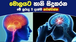 මොලයට හානි සිදුකරන මේ පුරුදු 11 දැන්ම නවත්වන්න