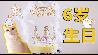 猫咪6岁生日，铲屎官给猫咪做一个仙仙的生日蛋糕，比买的好吃太多！