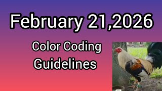 February 21,2026 Color Coding Guidelines