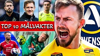 TOP 10 Målvakter i Allsvenskan 2023