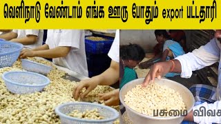 வெளிநாடு வேண்டாம் எங்க ஊரு போதும் export பட்டதாரி