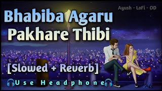 Bhabiba Agaru Pakhare Thibi || Slowed + Reverb || Human Sagar \u0026 Ananya || Odia LoFi Romantic Song