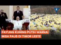 Misa Paus Fransiskus di Timor Leste, Dipenuhi Payung Kuning Putih Khas Bendera Vatikan