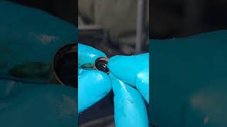 Replacing 2jzge/gte vvti/non vvti Valve Seals