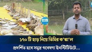 ১৭০ টি হাড় নিয়ে তিমির ক'ঙ্কা'ল প্রদর্শিত হবে সমুদ্র গবেষণা ইনস্টিটিউটে...