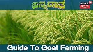 ಅನ್ನದಾತ | Success Story Of Stall Fed Goat Farming In Kalburgi | Nov 21, 2018