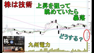 株は技術　暴落に出会ったらどうする？ ショットガン投資法 九州電力