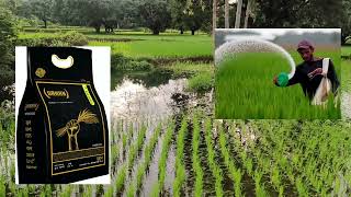 Dahan herbicide Oxidiargyl 1%+Pretilachlor 6% GR