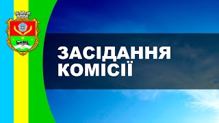 Засідання постійної комісії 10.02.2025