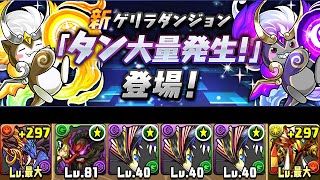 【パズドラ】タン大量発生！ 継承の秘密 破壊神・シヴァ＝ドラゴン×覚醒ラー 龍族拼圖